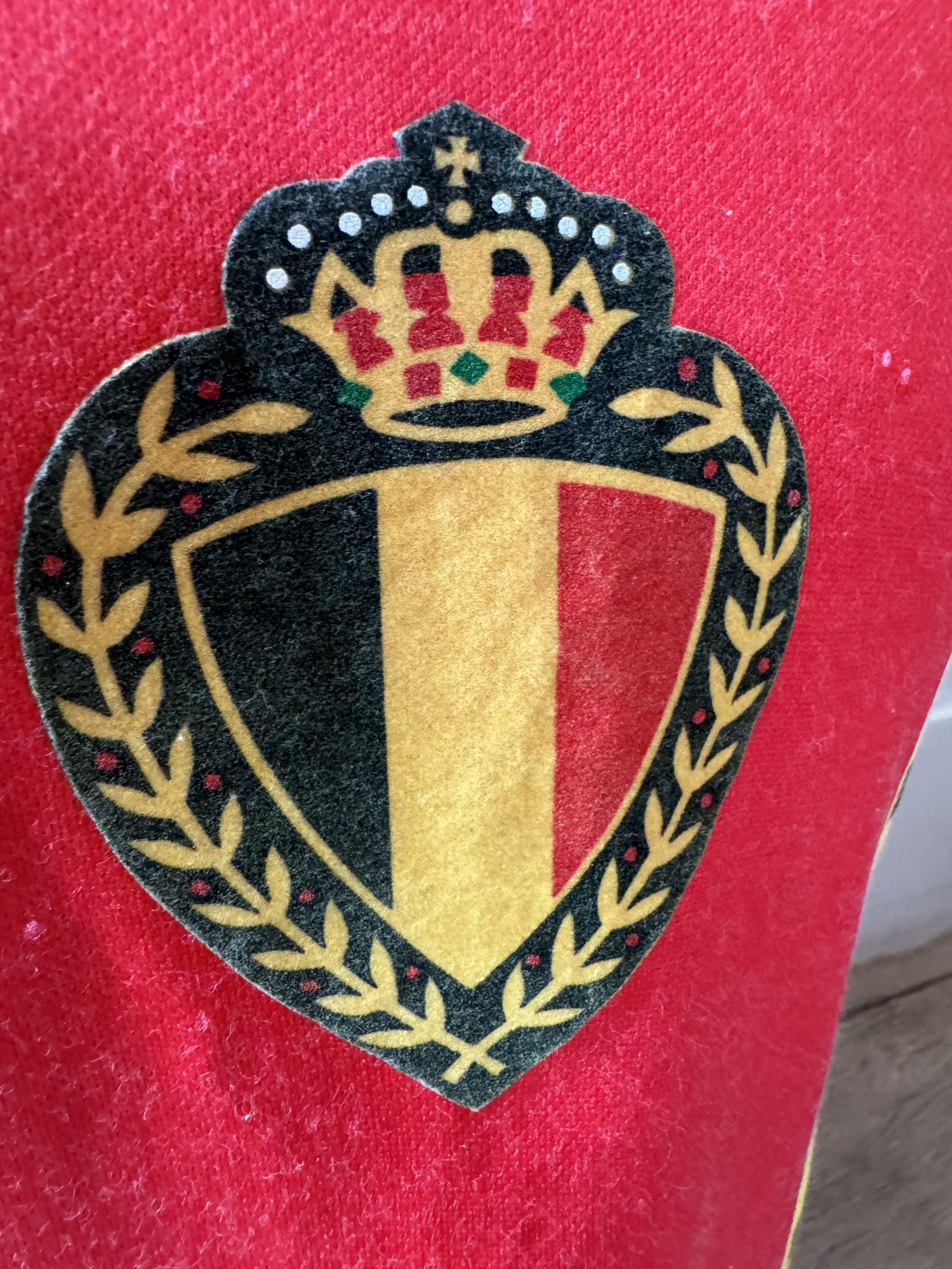 Match worn Belgium shirt - Image 3