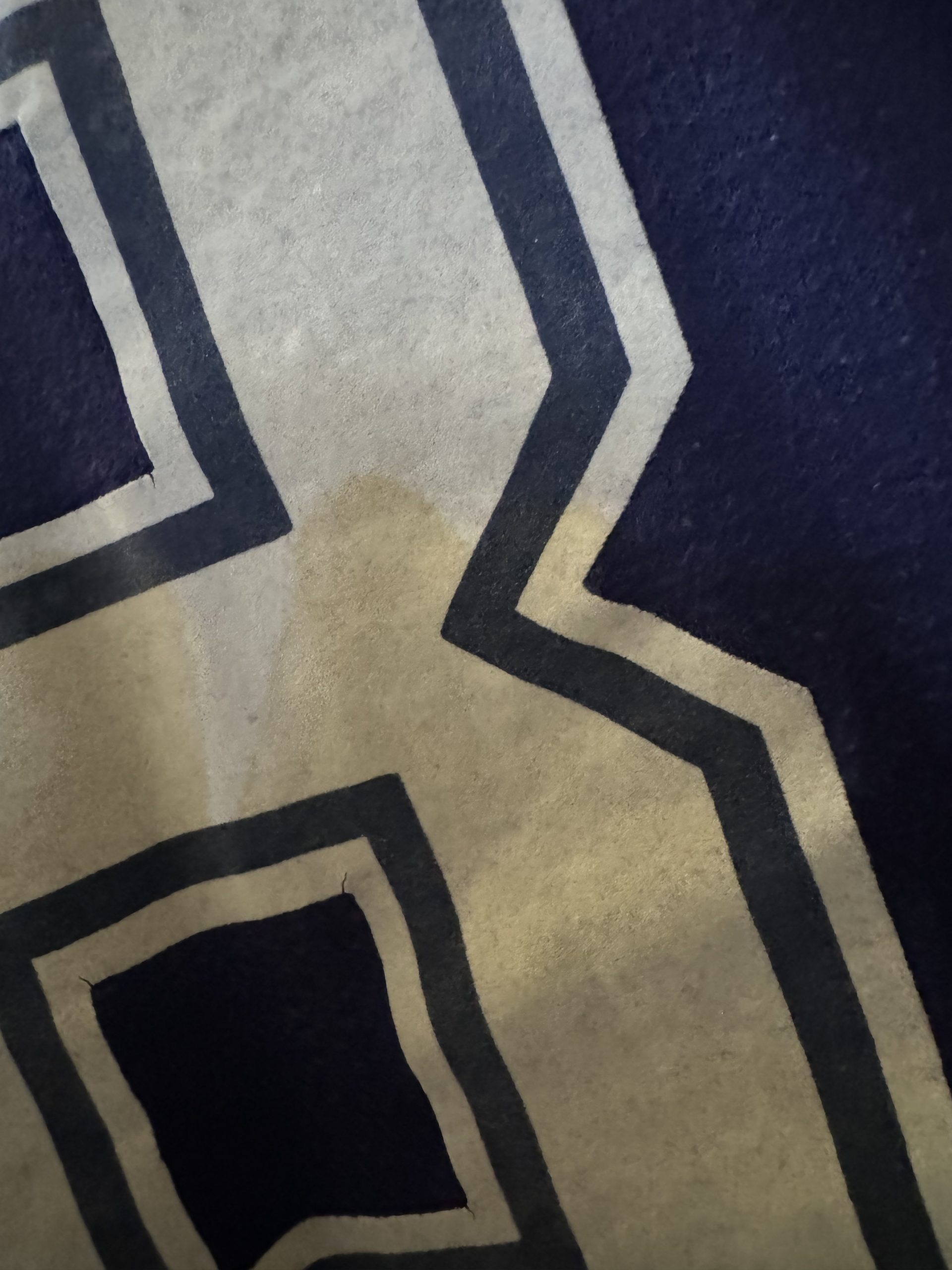 Match Worn Scotland Shirt - Image 12