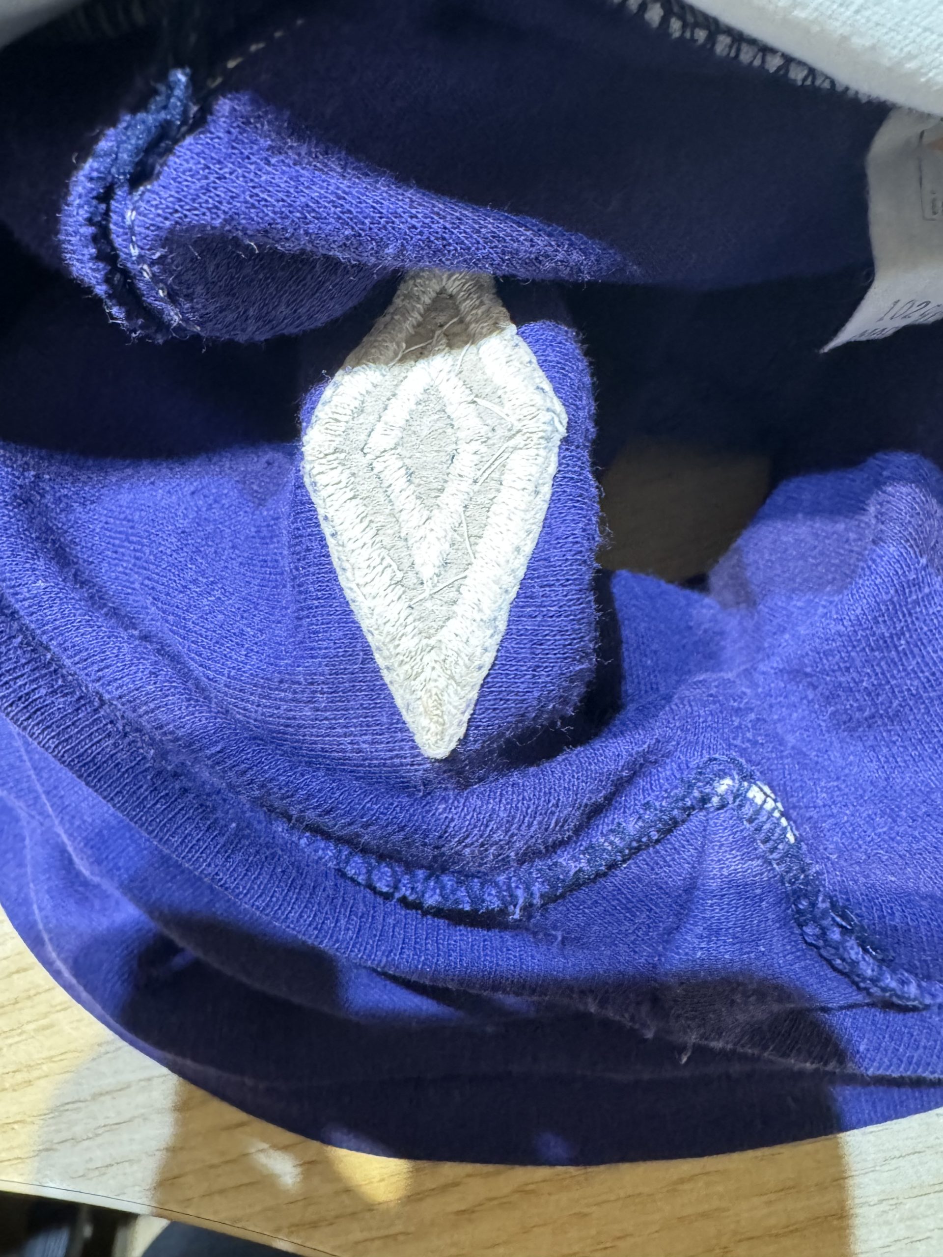 Match Worn Scotland Shirt - Image 8