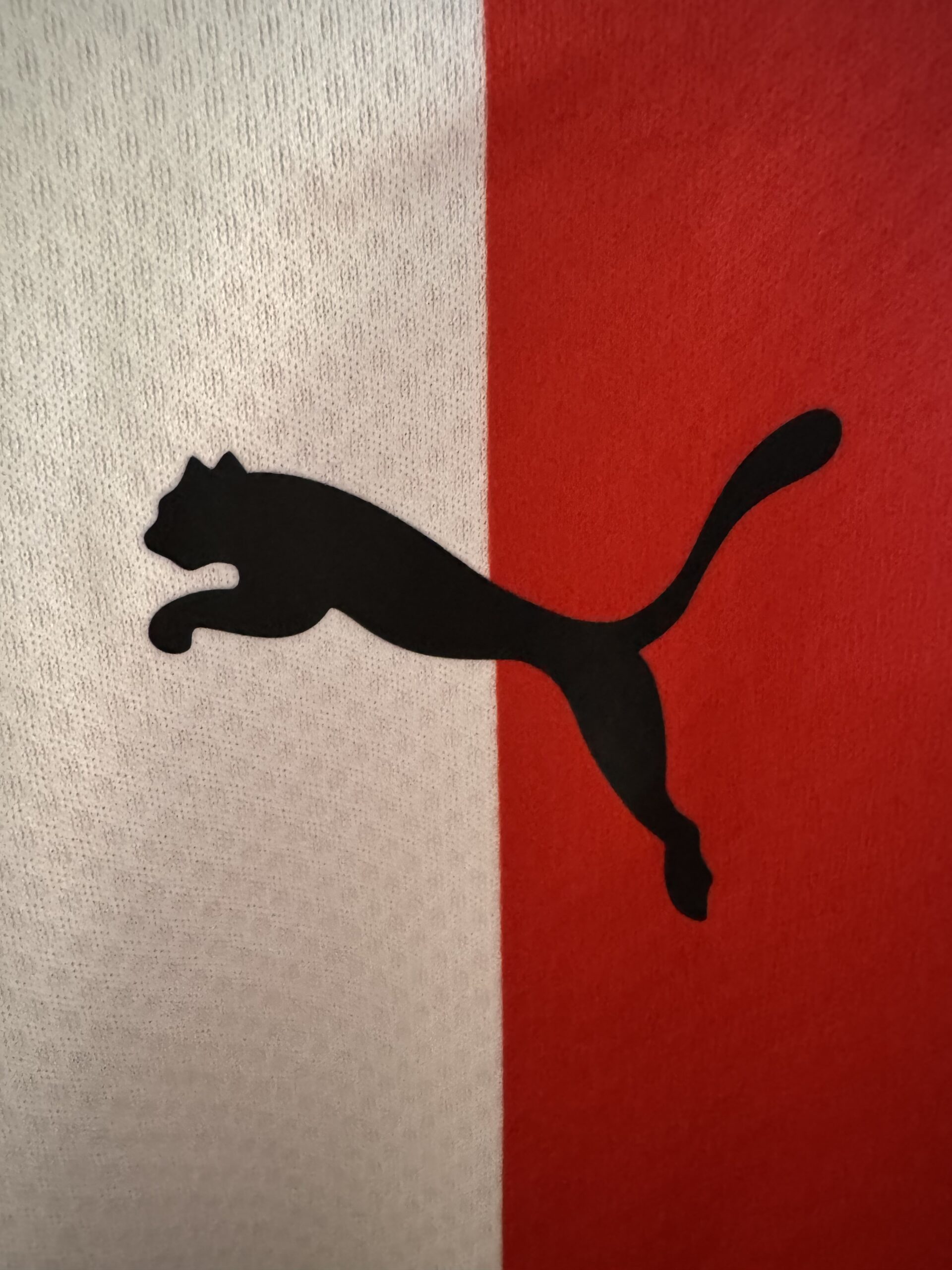 Match worn Southampton shirt - Image 8