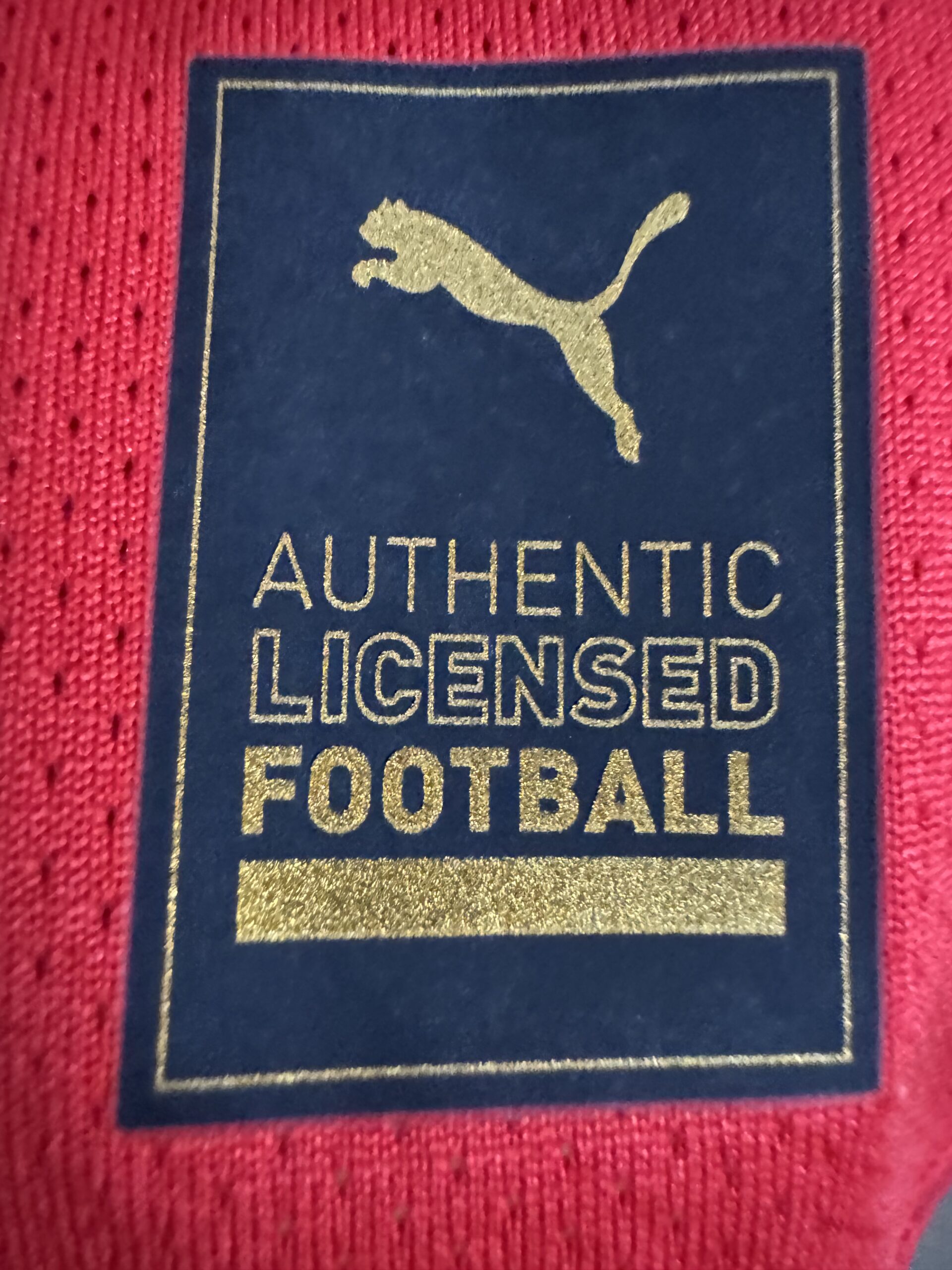 Match worn Southampton shirt - Image 5