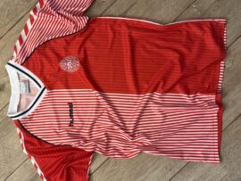 Denmark Shirt